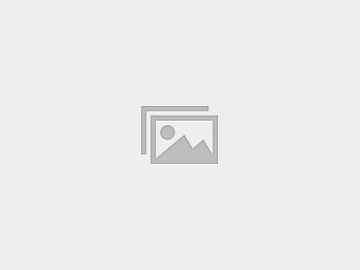 Elite Coach 02. – 04.11.26